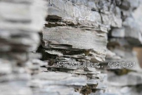 九游sports-中超球队设立青训周展示各年龄段训练成果，中超每队至少报名3位青训u21