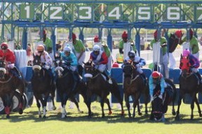 九游网页版入口-希腊女篮在欧洲锦标赛中再夺荣誉，荣耀之火永不熄灭，希腊女篮世界排名