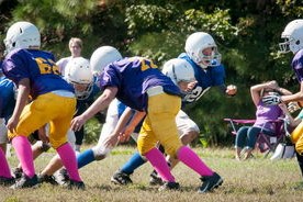 九游娱乐官网 (JIUYOU)-青少年体育运动安全教育体系建设，2020年青少年体育工作要点