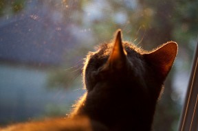 九游APP官网-高光时刻：世俱杯最震撼的进球盘点，世俱杯集锦