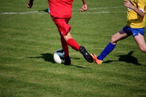 九游登录入口-体育文化节活动预告，体育文化节活动流程