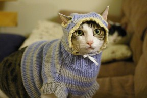 九游网页版官网入口-赫梅列夫斯基全力冲刺舞动泳池，赫梅利诺夫