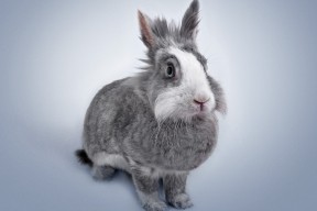 九游网-“简阳文体中心：2025世界运动会激情燃爆，赛事精彩纷呈”