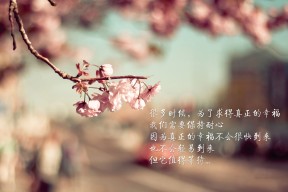 九游9游-直播画质升级满足高帧需求观众体验，直播画质由什么决定