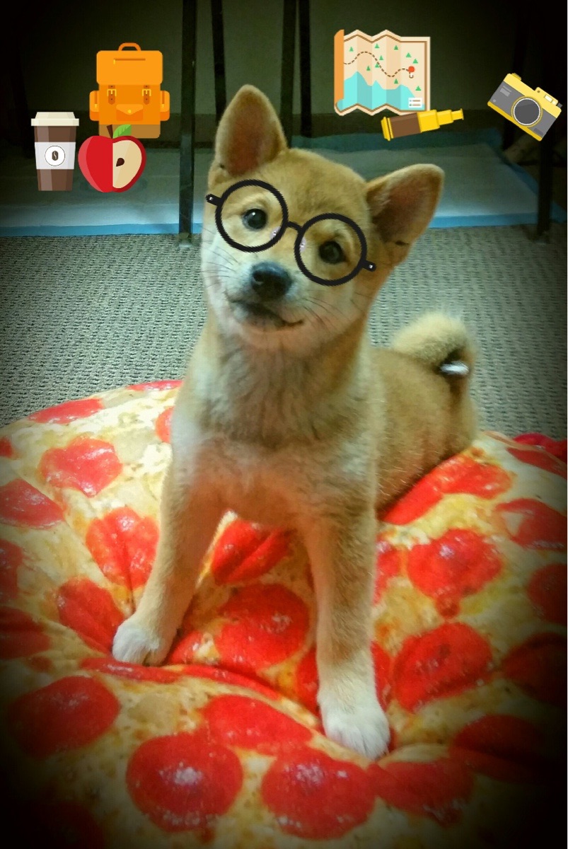 PSG教练赛后承诺调整战术迎接挑战，psg战队教练是谁