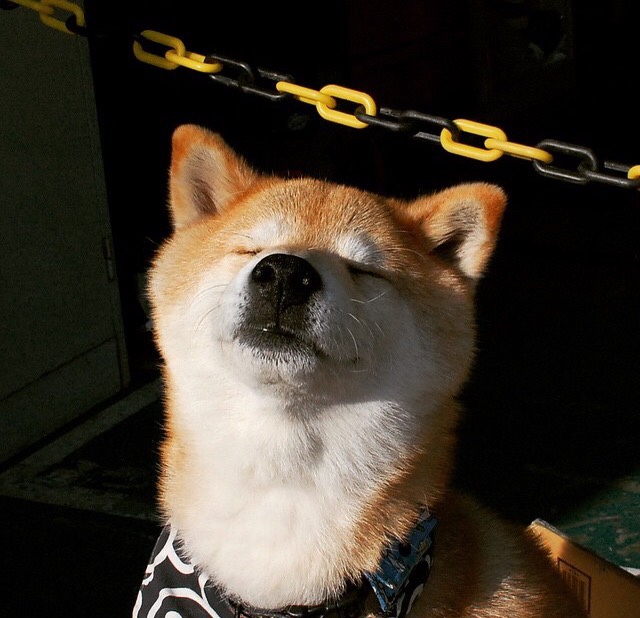 “武汉马拉松：全球选手争锋，冠军的悬念渐浓”