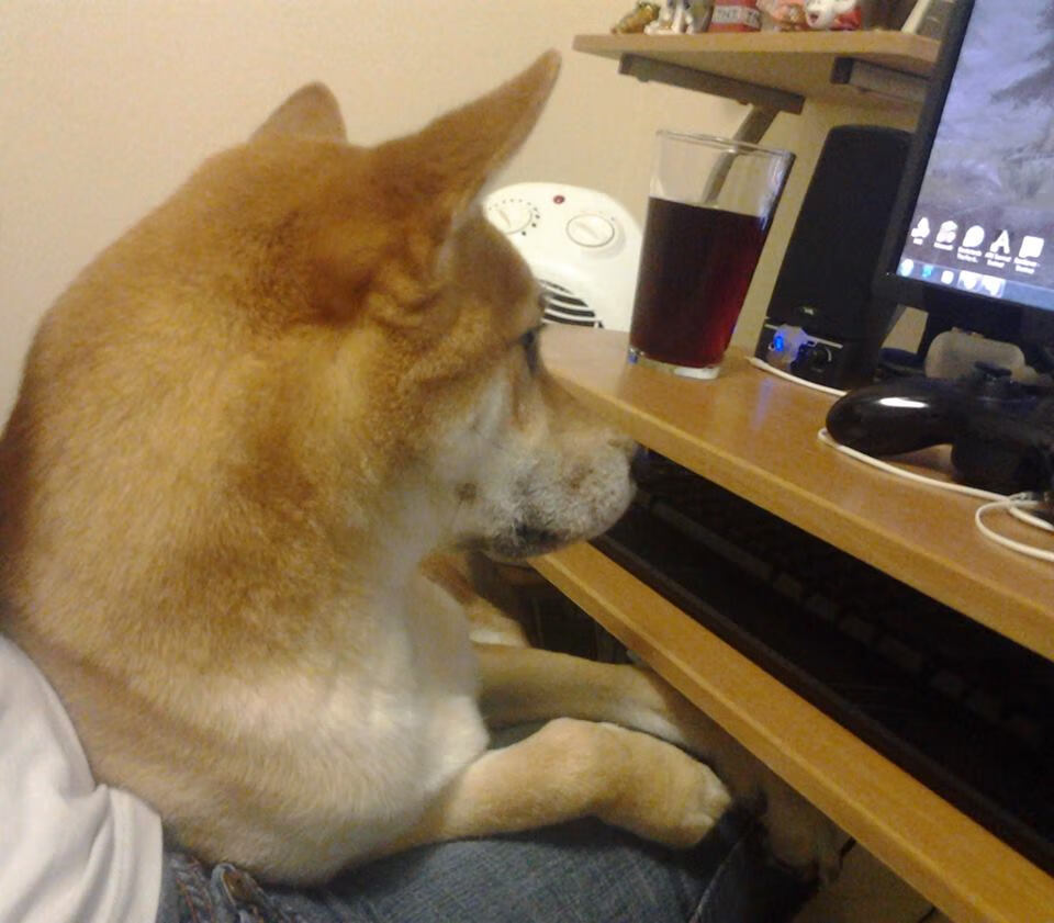 中国男篮专注细节调整 持续优化战术体系，中国男篮最新的道具