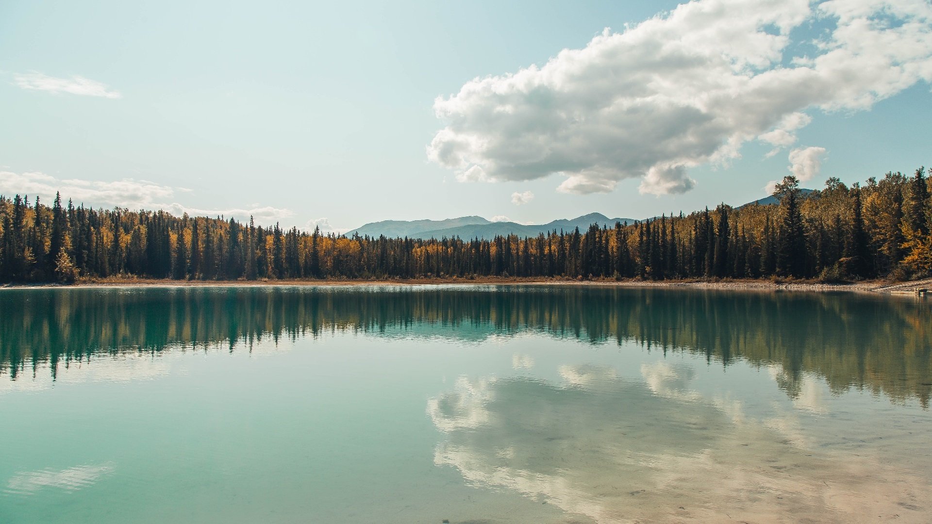 拜仁多点开花，博卡防线崩溃，拜仁 亚博