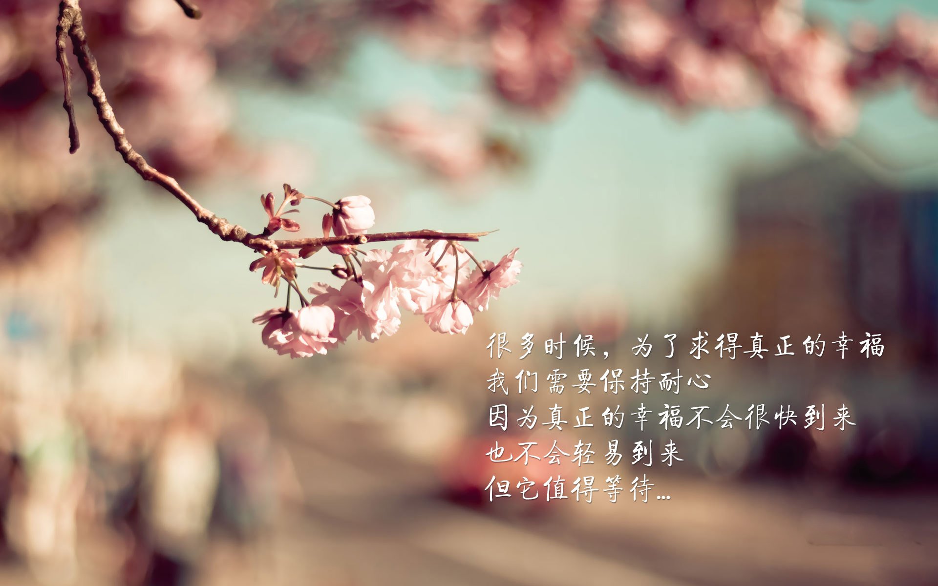 直播画质升级满足高帧需求观众体验,直播画质由什么决定