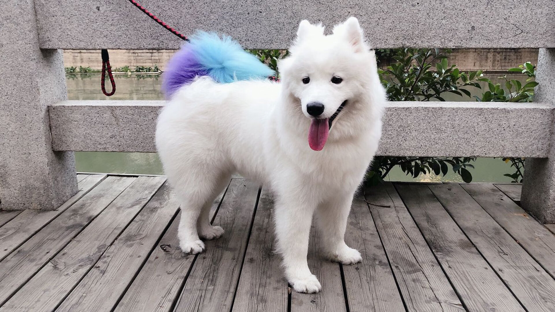 “埃尔斯·霍斯特的非凡防守,南非羚羊队更具竞争力”