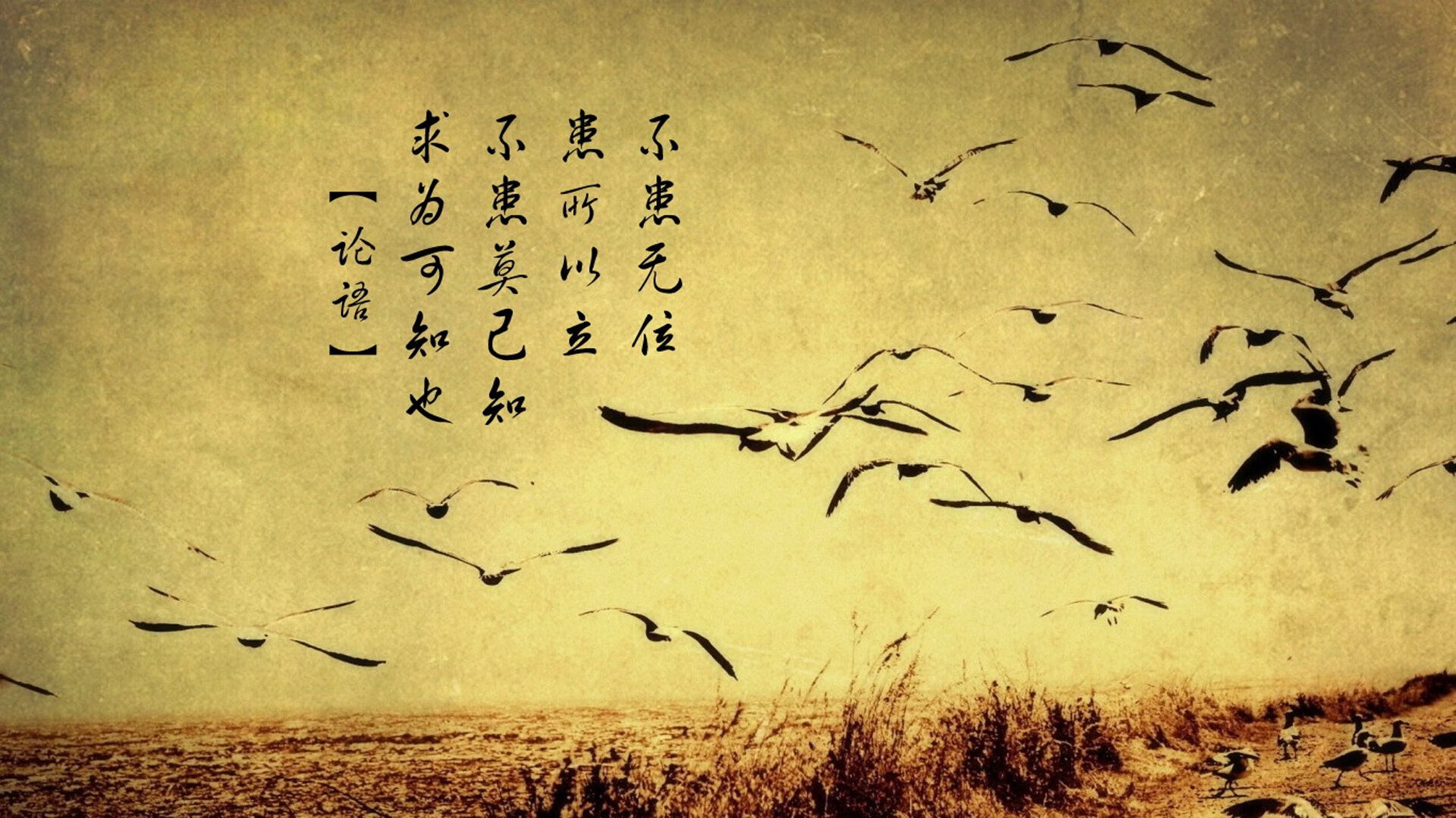 恩多比·恩乔:他以精准的踢球与出色的战术视野成为南非进攻核心